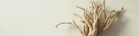 Stress Relief Benefits of Kava: A Scientific Overview