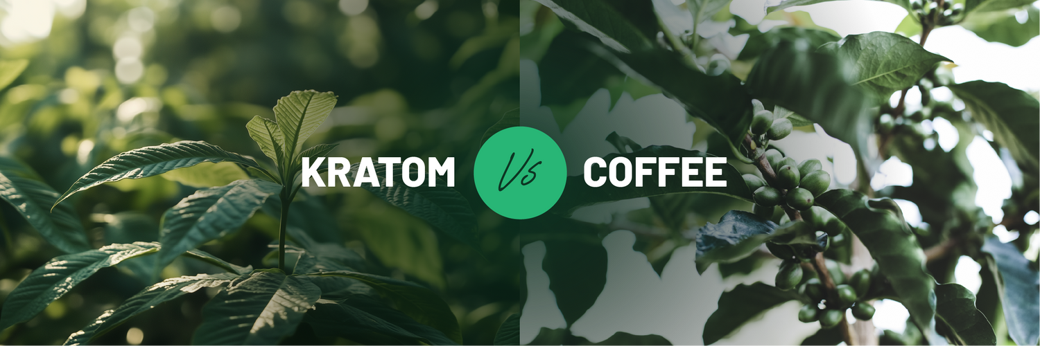 Kratom and Coffee - A Comparative Analysis 