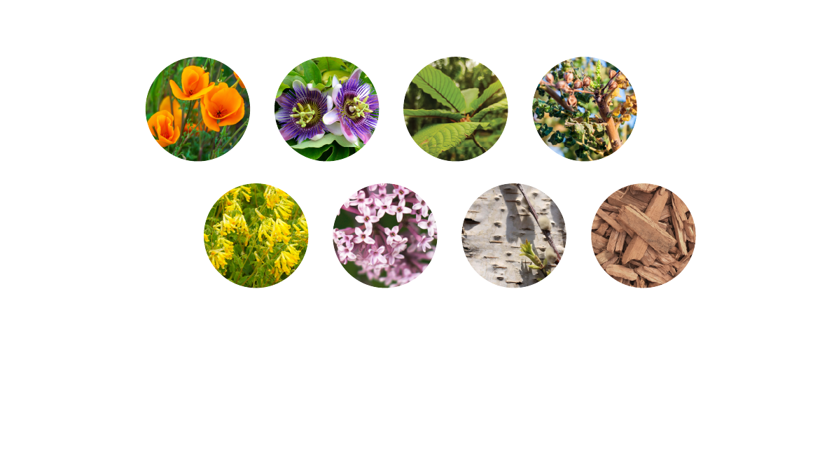 VIVAZEN proprietary herbal blend